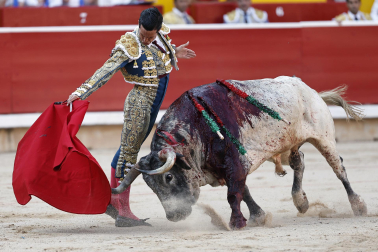 Fotos de la corrida del 8 de julio de la Feria del Toro 2026 con toros de la ganadería Cebada Gago para los diestros David Galván, Román y Manuel Diosleguarde