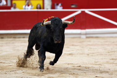 Fotos de la tercera corrida de la Feria del Toro 2026 con toros de Victoriano del Río para los diestros Alejandro Talavante, Roca Rey y David de Miranda