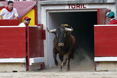 Fotos de la tercera corrida de la Feria del Toro 2026 con toros de Victoriano del Río para los diestros Alejandro Talavante, Roca Rey y David de Miranda