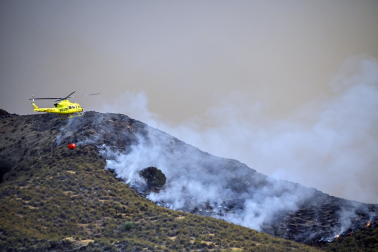 Fotos del incendio forestal de Los Gallardos, en Almería