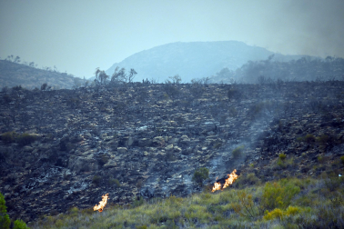 Fotos del incendio forestal de Los Gallardos, en Almería