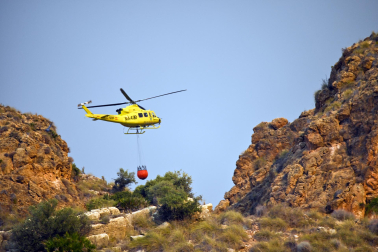 Fotos del incendio forestal de Los Gallardos, en Almería