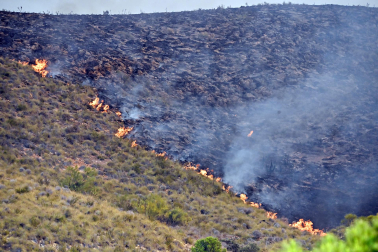 Fotos del incendio forestal de Los Gallardos, en Almería
