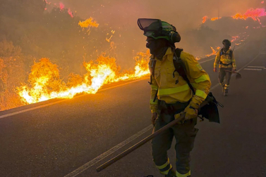 Fotos del incendio forestal de Los Gallardos, en Almería