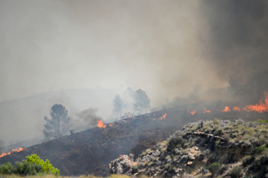 Fotos del incendio forestal de Los Gallardos, en Almería