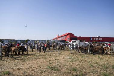 Fotos de la feria de ganado de San Fermín 2026