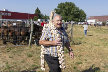 Fotos de la feria de ganado de San Fermín 2026