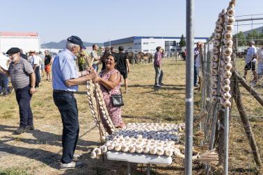 Fotos de la feria de ganado de San Fermín 2026
