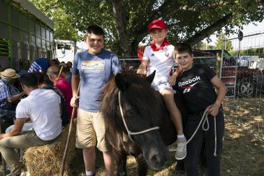 Fotos de la feria de ganado de San Fermín 2026