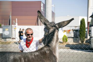 Fotos de la feria de ganado de San Fermín 2026