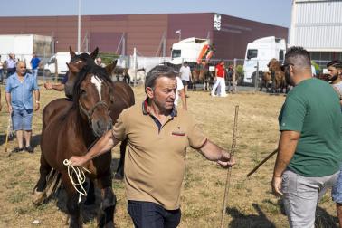 Fotos de la feria de ganado de San Fermín 2026
