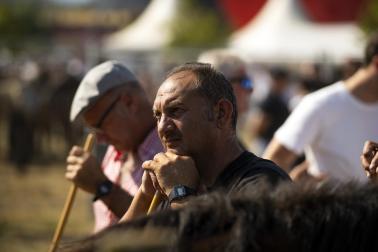 Fotos de la feria de ganado de San Fermín 2026