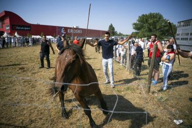 Fotos de la feria de ganado de San Fermín 2026