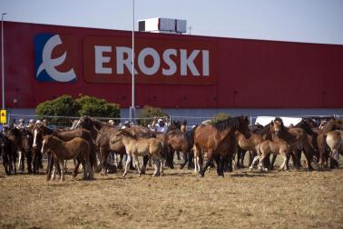 Fotos de la feria de ganado de San Fermín 2026
