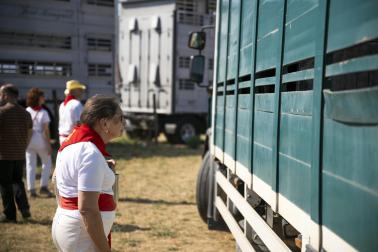 Fotos de la feria de ganado de San Fermín 2026