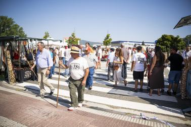 Fotos de la feria de ganado de San Fermín 2026