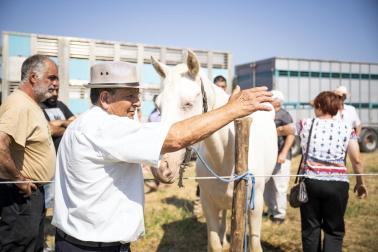 Fotos de la feria de ganado de San Fermín 2026