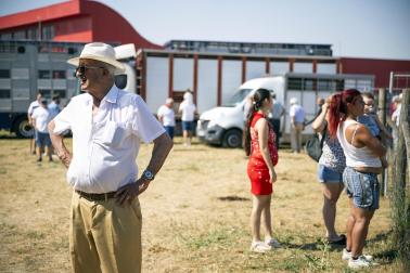 Fotos de la feria de ganado de San Fermín 2026