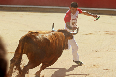 Concurso de anillas de San Fermín 2026 en la plaza de toros de Pamplona