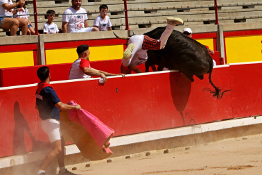 Concurso de anillas de San Fermín 2026 en la plaza de toros de Pamplona