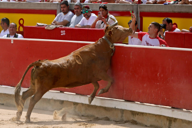 Concurso de anillas de San Fermín 2026 en la plaza de toros de Pamplona
