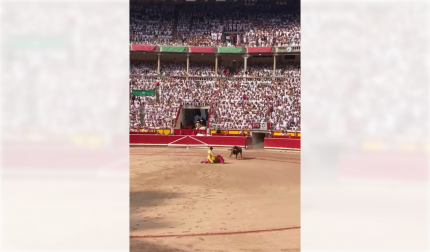 El diestro recibe de rodillas a su primer Palmosilla