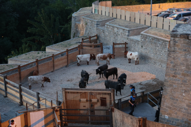 Los Miura, en los corrales.