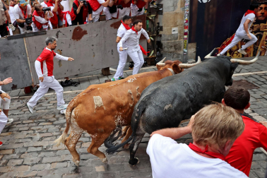 Fotos del séptimo encierro de San Fermín 2026 con toros de Miura en la curva de Mercaderes.