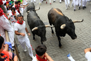 Fotos del séptimo encierro de San Fermín 2026 con toros de Miura en la curva de Telefónica.