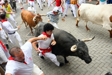 Fotos del séptimo encierro de San Fermín 2026 con toros de Miura en la curva de Telefónica.