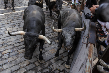 Fotos del séptimo encierro de San Fermín 2026 con toros de Miura en la curva de Mercaderes.