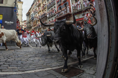 Fotos del séptimo encierro de San Fermín 2026 con toros de Miura en la curva de Mercaderes.