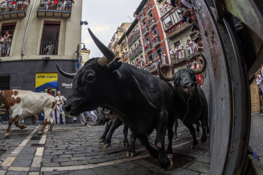 Fotos del séptimo encierro de San Fermín 2026 con toros de Miura en la curva de Mercaderes.