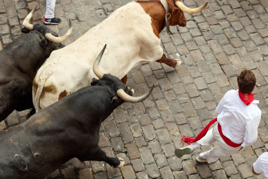 Fotos del séptimo encierro de San Fermín 2026 con toros de Miura en la cuesta de Santo Domingo y plaza del Ayuntamiento.