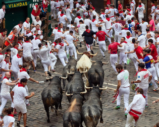 Fotos del séptimo encierro de San Fermín 2026 con toros de Miura en la cuesta de Santo Domingo y plaza del Ayuntamiento.