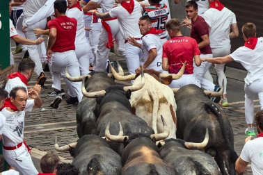 Fotos del séptimo encierro de San Fermín 2026 con toros de Miura en la cuesta de Santo Domingo y plaza del Ayuntamiento.