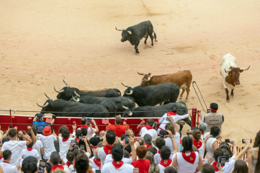 Fotos del séptimo encierro de San Fermín 2026 con toros de Miura en la plaza de toros.