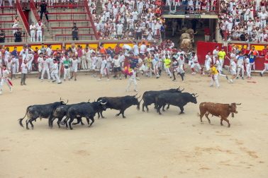Fotos del séptimo encierro de San Fermín 2026 con toros de Miura en la plaza de toros.