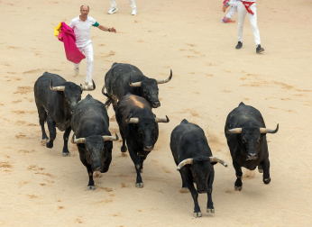 Fotos del séptimo encierro de San Fermín 2026 con toros de Miura en la plaza de toros.