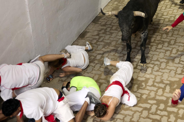 Fotos del séptimo encierro de San Fermín 2026 con toros de Miura en el callejón y plaza de toros.