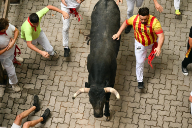 Fotos del séptimo encierro de San Fermín 2026 con toros de Miura en la bajada al callejón.