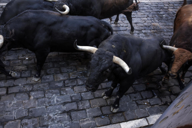 Fotos del octavo encierro de San Fermín 2026 con toros de la ganadería de Jandilla en la curva de Mercaderes.