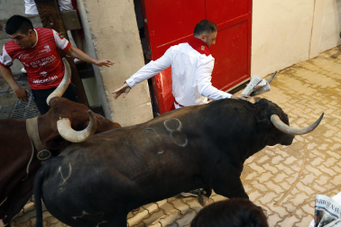 Fotos del octavo encierro de San Fermín 2026 con toros de la ganadería de Jandilla en la bajada al callejón.