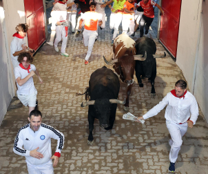 Fotos del octavo encierro de San Fermín 2026 con toros de la ganadería de Jandilla en el callejón.