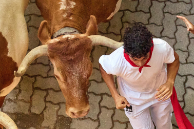 Fotos del octavo encierro de San Fermín 2026 con toros de la ganadería de Jandilla en la bajada al callejón.