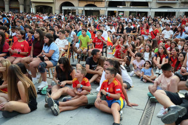 La final del Mundial, en imágenes desde Estella