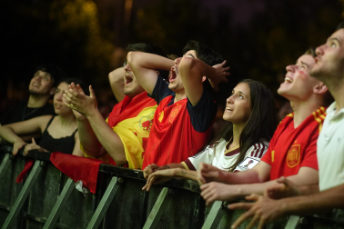 La final del Mundial, en imágenes en Navarra