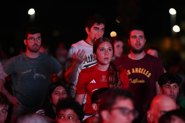 La final del Mundial, en imágenes en Navarra