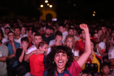 La final del Mundial, en imágenes en Navarra