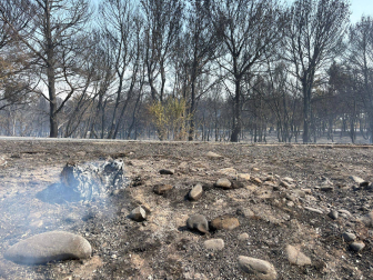 Fotos del incendio en un pinar junto a la autopista A-68 que obligó a desalojar el hotel Villa Castejón